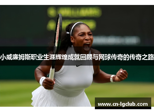 小威廉姆斯职业生涯辉煌成就回顾与网球传奇的传奇之路