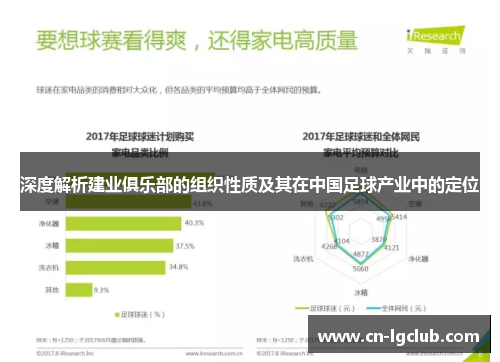 深度解析建业俱乐部的组织性质及其在中国足球产业中的定位 深度解析建业俱乐部的组织性质及其在中国足球产业中的定位