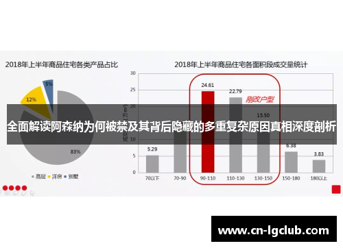 全面解读阿森纳为何被禁及其背后隐藏的多重复杂原因真相深度剖析 全面解读阿森纳为何被禁及其背后隐藏的多重复杂原因真相深度剖析